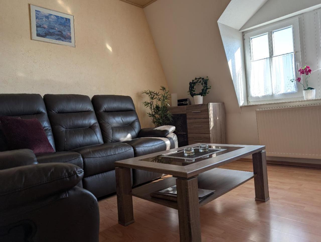 דרזדן Ambiente-An-Der-Elbe-Wohnung-Og מראה חיצוני תמונה