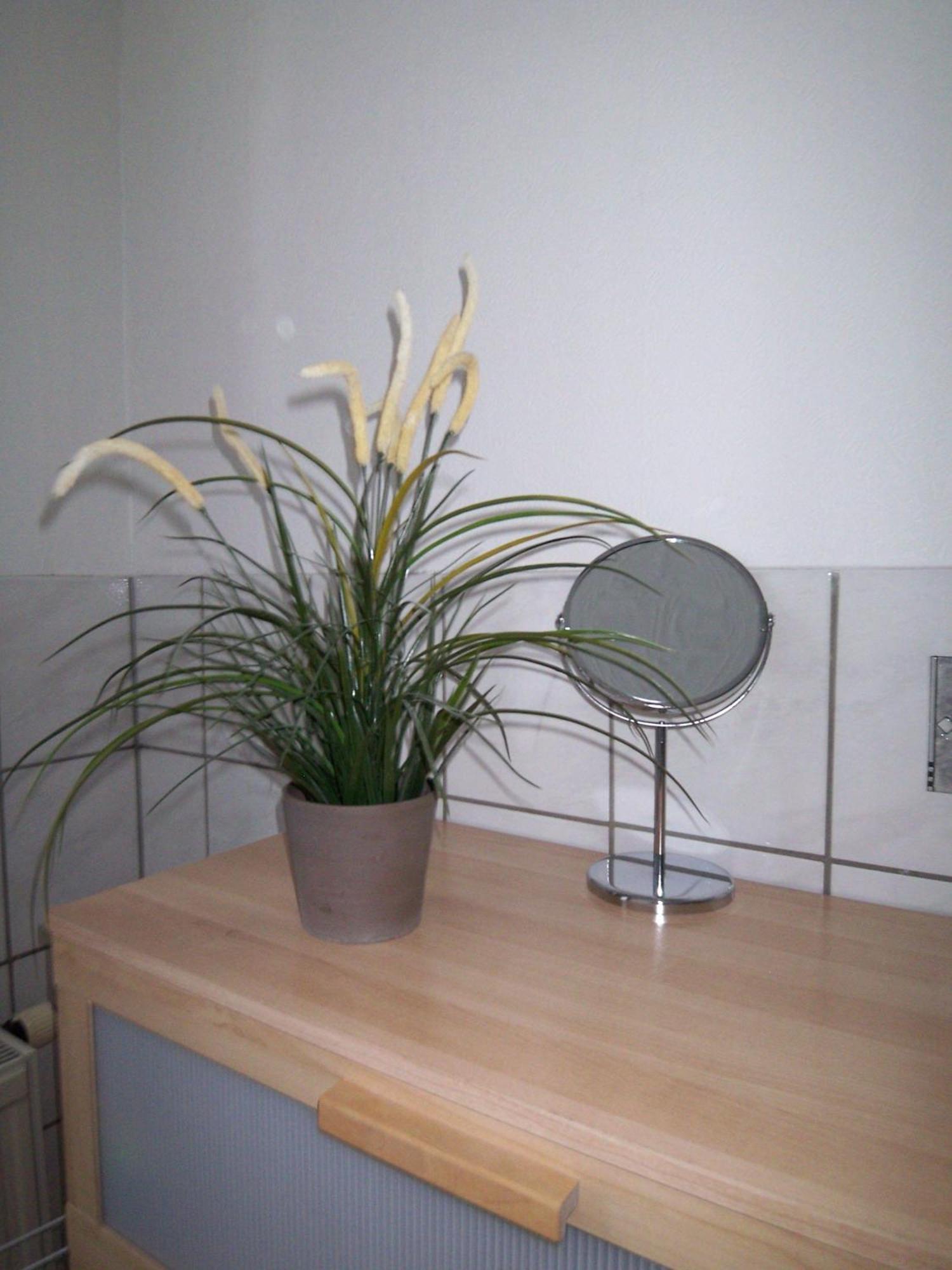 דרזדן Ambiente-An-Der-Elbe-Wohnung-Og מראה חיצוני תמונה
