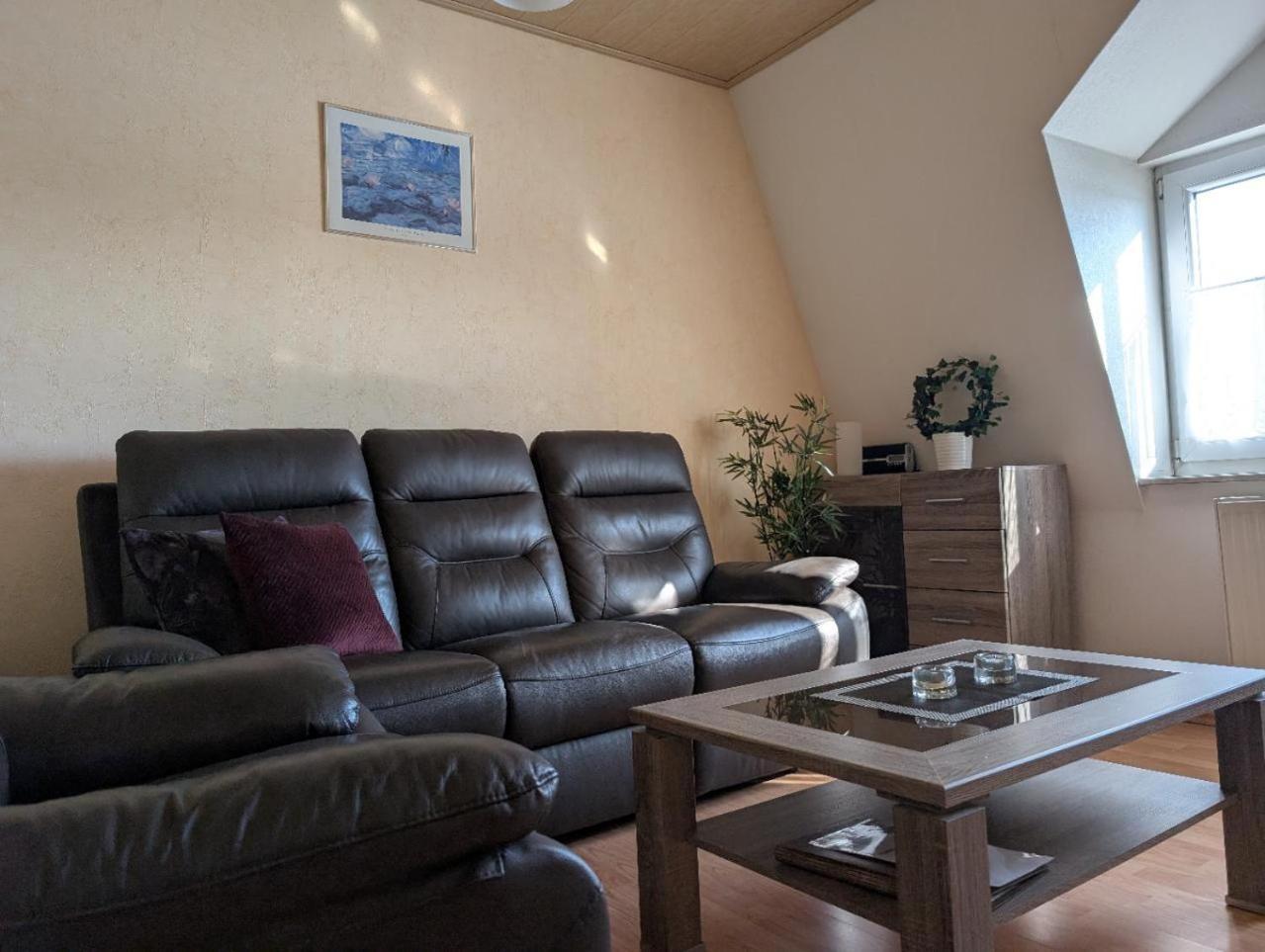 דרזדן Ambiente-An-Der-Elbe-Wohnung-Og מראה חיצוני תמונה